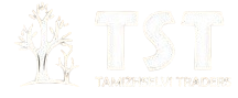 TST Traders Furniture Mart